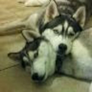 Meet your Posher, Joseph